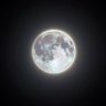 star's profile picture