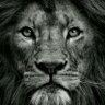 Profilbild von يوسف