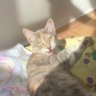 Profilbild von mami uluca