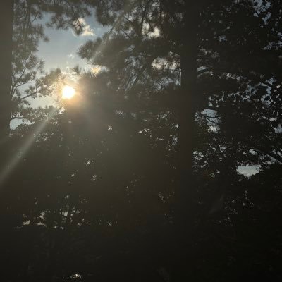 bop hunter47's profile picture