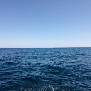 Nathanthomebl's profile picture