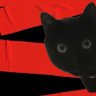 mimi ⊙⊝⊜'s profile picture