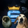 Stellbets's profile picture