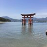 Фото профиля 自由に生きるホーリー