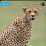 aaaaaa profil fotoğrafı