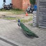 rtb 的头像