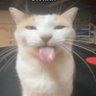 hugo's profile picture