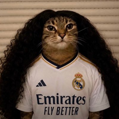 Juan Gaya Salom's profile picture