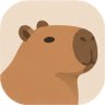 Capyka's profile picture