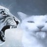 beesi profil fotoğrafı
