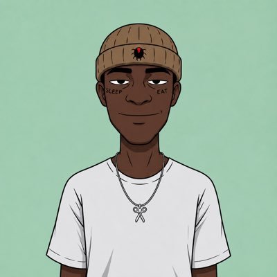 sty_defi's profile picture