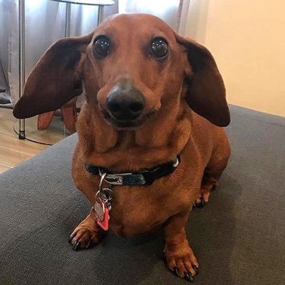 nexus's profile picture
