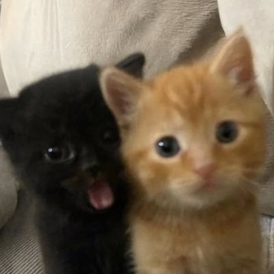 43!'s profile picture
