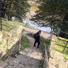 Uzochee🌍🌍 的头像