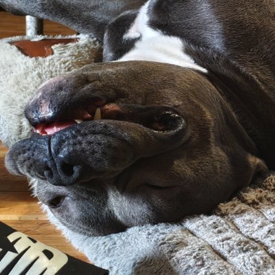 Pabol's profile picture