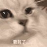 BWB忠实持有者 profil fotoğrafı