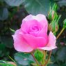 Фото профиля Wendy Jones