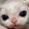 Profilbild von raxxie