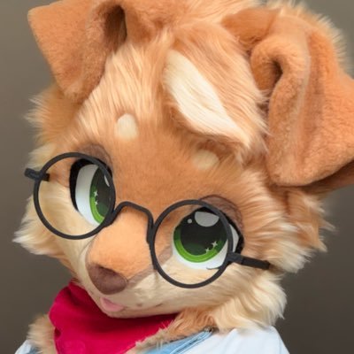 Max 🍞🐶 🔜 AC 🇺🇸's profile picture