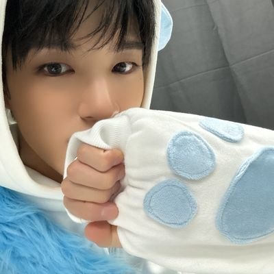 calicopups's profile picture