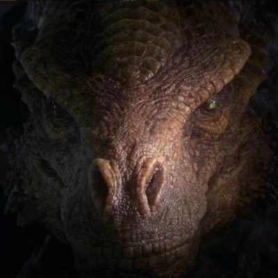 Syrax's profile picture