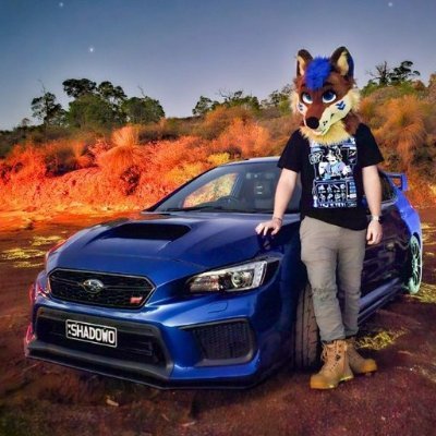 shadowodoggo's profile picture