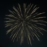 Firefly's profile picture