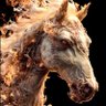 Фото профиля ADYAND