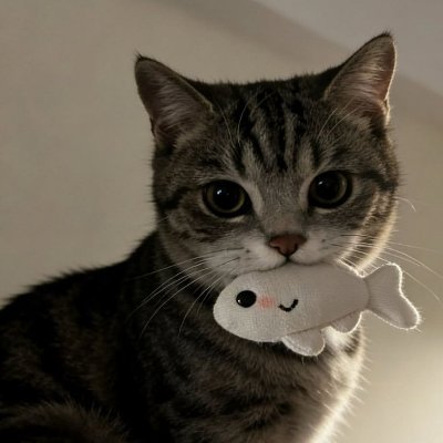“U-Ri ,'s profile picture