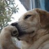 BDEE's profile picture