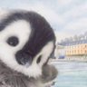 忧郁 profil fotoğrafı