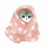 Ahihi's profile picture