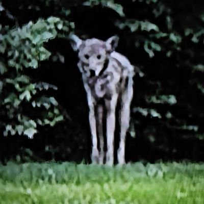 DrTNBAST's profile picture