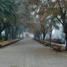 El desafío de Don Pantaleón 🇨🇱 的头像