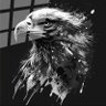 Kartaljk profil fotoğrafı