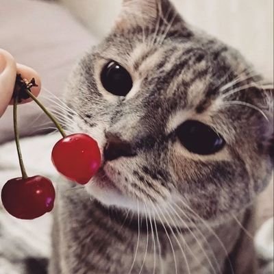 jang's profile picture