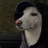 Profilbild von Primero