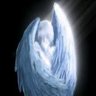 Profilbild von typeshi