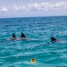 Фото профиля crenar