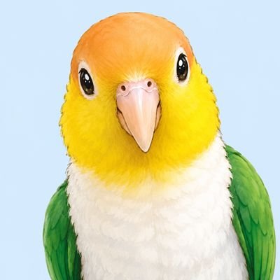 xkijauyd's profile picture