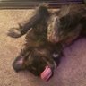 Blake profil fotoğrafı