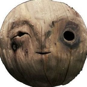 AlkekengiPulvis's profile picture