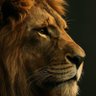 Profilbild von The Lion BC