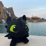 肥猫 profil fotoğrafı