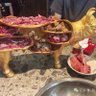 天上人间's profile picture