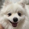 🧸 ลอมอ🧸 ❤️🦖🚗❤️'s profile picture