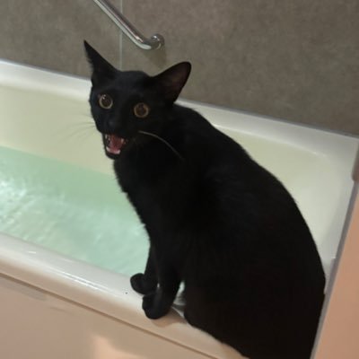 べにまる's profile picture