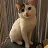 Gairat's profile picture