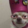 Profilbild von JOHNNY SON OF BENNY