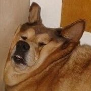kaiipahhippie's profile picture